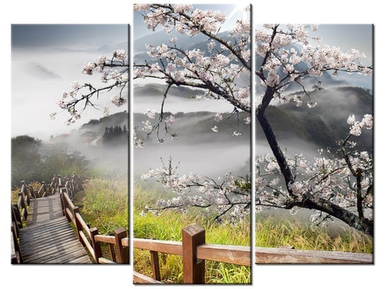 Obraz, Kwitnąca wiśnia, 3 elementy, 90x70 cm Oobrazy