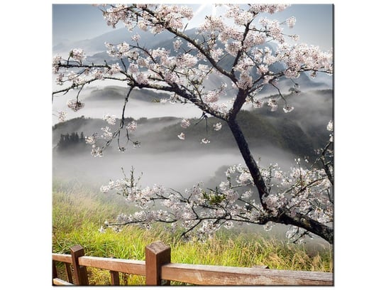 Obraz, Kwitnąca wiśnia, 30x30 cm Oobrazy