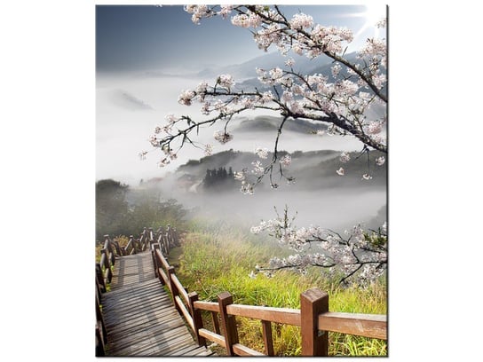 Obraz, Kwitnąca wiśnia, 50x60 cm Oobrazy