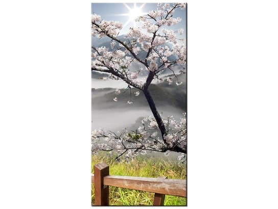Obraz, Kwitnąca wiśnia, 55x115 cm Oobrazy
