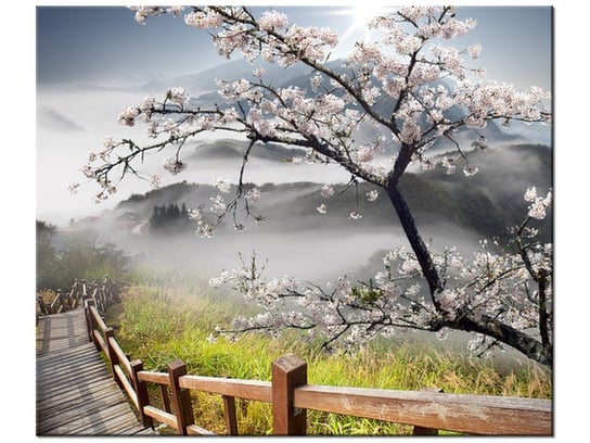 Obraz, Kwitnąca wiśnia, 60x50 cm Oobrazy