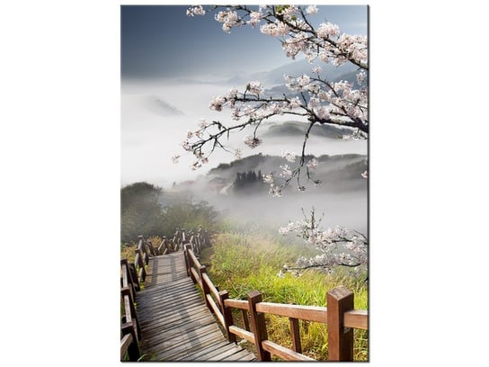 Obraz Kwitnąca wiśnia, 70x100 cm Oobrazy
