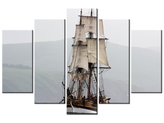 Obraz Lady Washington - Don McCullough, 5 elementów, 150x100 cm Oobrazy
