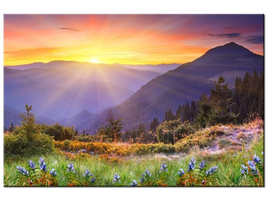 Obraz Łąka w górach, 120x80 cm Oobrazy