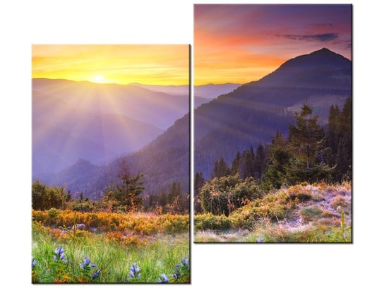 Obraz Łąka w górach, 2 elementy, 80x70 cm Oobrazy