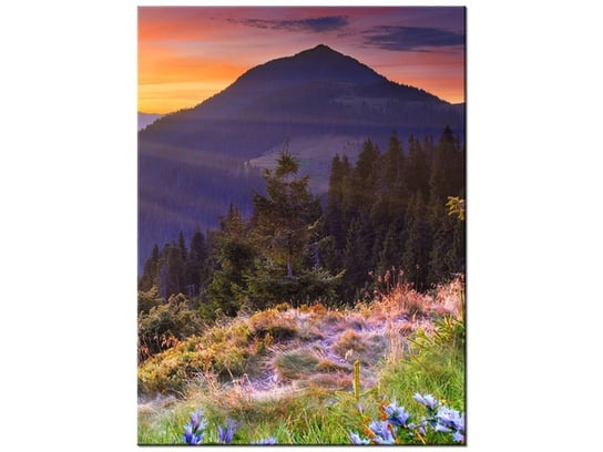 Obraz Łąka w górach, 30x40 cm Oobrazy