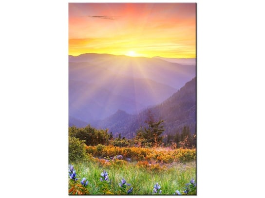 Obraz Łąka w górach, 40x60 cm Oobrazy