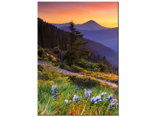 Obraz Łąka w górach, 50x70 cm Oobrazy