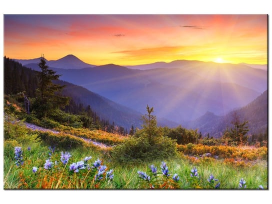 Obraz Łąka w górach, 90x60 cm Oobrazy