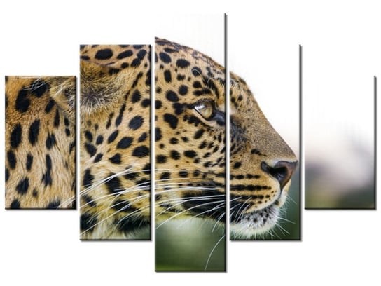 Obraz Lampart - Tambako The Jaguar, 5 elementów, 150x105 cm Oobrazy