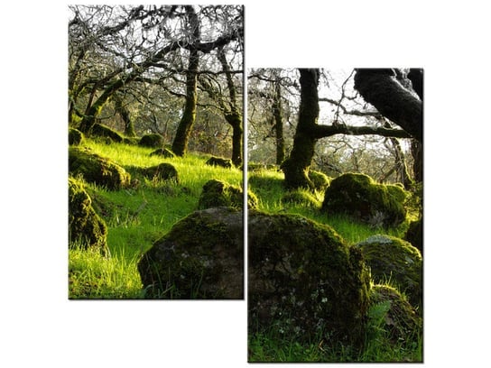 Obraz Leśna polana - Don McCullough, 2 elementy, 60x60 cm Oobrazy