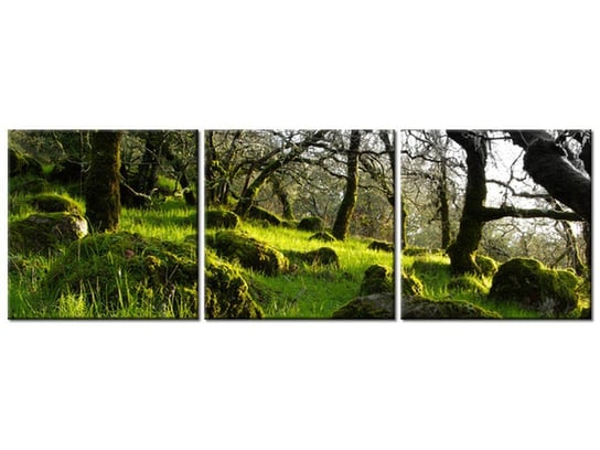 Obraz Leśna polana - Don McCullough, 3 elementy, 90x30 cm Oobrazy