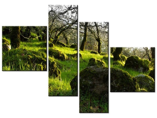 Obraz Leśna polana - Don McCullough, 4 elementy, 100x70 cm Oobrazy