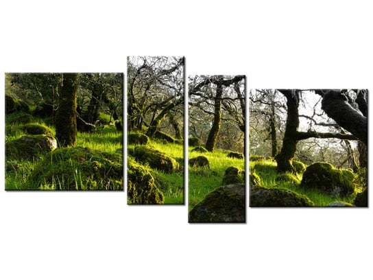 Obraz Leśna polana - Don McCullough, 4 elementy, 120x55 cm Oobrazy