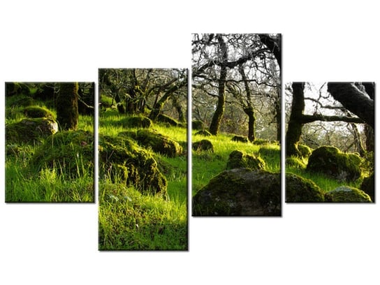 Obraz Leśna polana - Don McCullough, 4 elementy, 120x70 cm Oobrazy