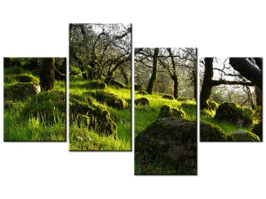 Obraz Leśna polana - Don McCullough, 4 elementy, 120x70 cm Oobrazy