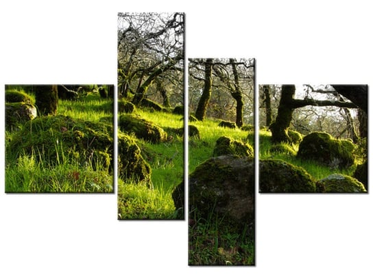 Obraz Leśna polana - Don McCullough, 4 elementy, 130x90 cm Oobrazy