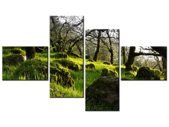 Obraz Leśna polana - Don McCullough, 4 elementy, 140x80 cm Oobrazy
