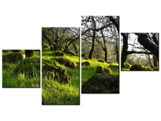 Obraz Leśna polana - Don McCullough, 4 elementy, 160x90 cm Oobrazy