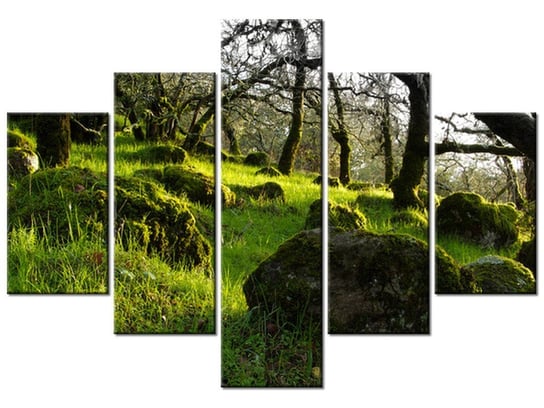 Obraz Leśna polana - Don McCullough, 5 elementów, 100x70 cm Oobrazy