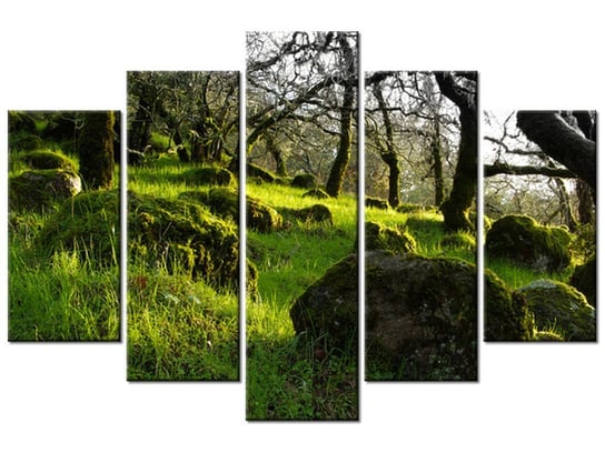 Obraz Leśna polana - Don McCullough, 5 elementów, 150x100 cm Oobrazy
