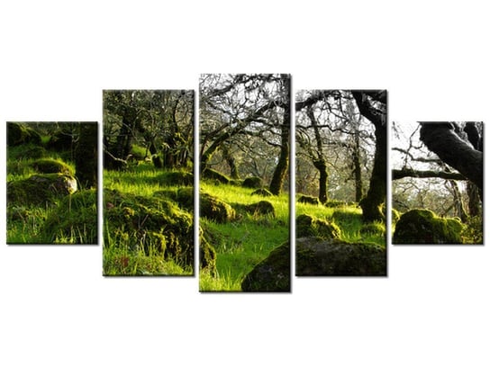 Obraz Leśna polana - Don McCullough, 5 elementów, 150x70 cm Oobrazy