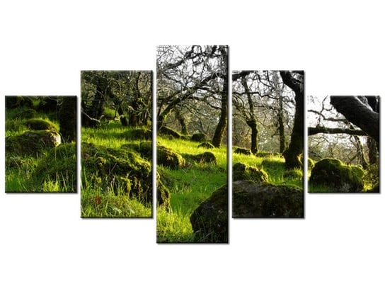 Obraz Leśna polana - Don McCullough, 5 elementów, 150x80 cm Oobrazy