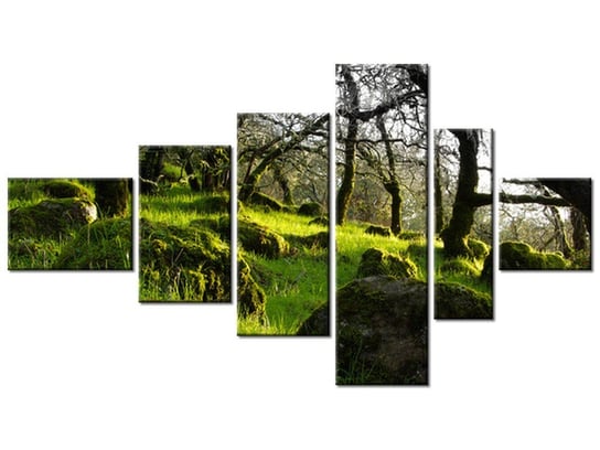 Obraz Leśna polana - Don McCullough, 6 elementów, 180x100 cm Oobrazy