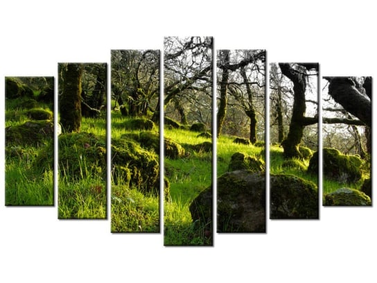 Obraz Leśna polana - Don McCullough, 7 elementów, 140x80 cm Oobrazy