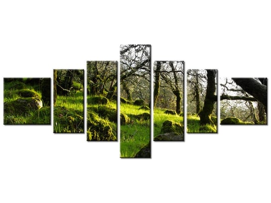 Obraz Leśna polana - Don McCullough, 7 elementów, 160x70 cm Oobrazy