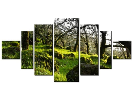 Obraz Leśna polana - Don McCullough, 7 elementów, 200x100 cm Oobrazy