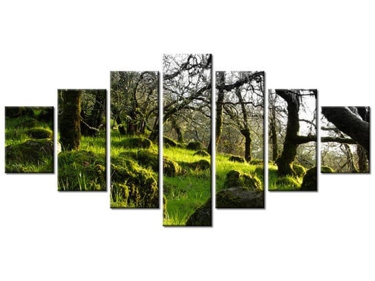 Obraz Leśna polana - Don McCullough, 7 elementów, 210x100 cm Oobrazy