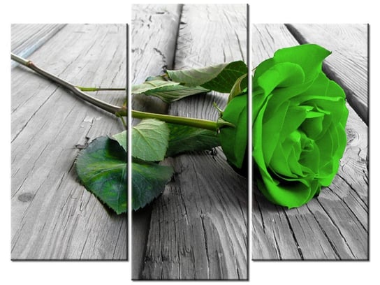 Obraz Limonkowa róża na deskach, 3 elementy, 90x70 cm Oobrazy
