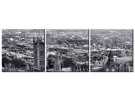 Obraz Londyn z lotu ptaka, 3 elementy, 90x30 cm Oobrazy