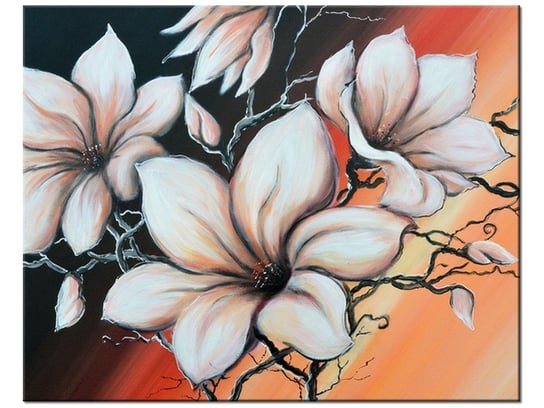 Obraz Magnolia o zachodzie słońca, 50x40 cm Oobrazy