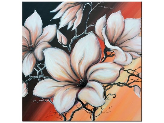 Obraz Magnolia o zachodzie słońca, 50x50 cm Oobrazy