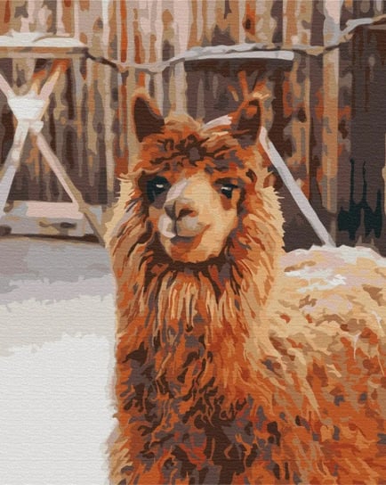 Obraz Malowanie po numerach, Lama na farmie Symag