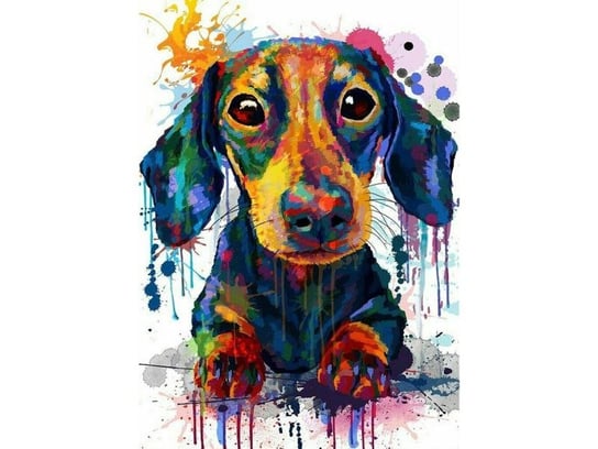 Obraz Malowanie Po Numerach Rama 40X50Cm Pies W Kolorze Zabawkowy Zawrót Głowy