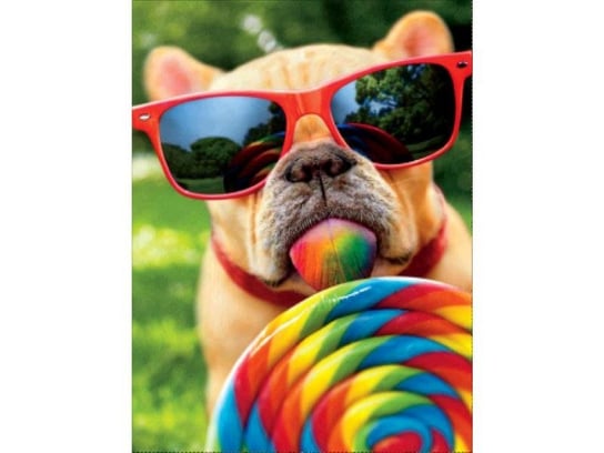 Obraz Malowanie Po Numerach Rama 40X50Cm Pies W Okularach Zabawkowy Zawrót Głowy