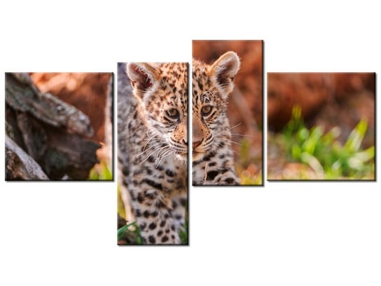 Obraz Mayra - Tambako The Jaguar, 4 elementy, 100x55 cm Oobrazy