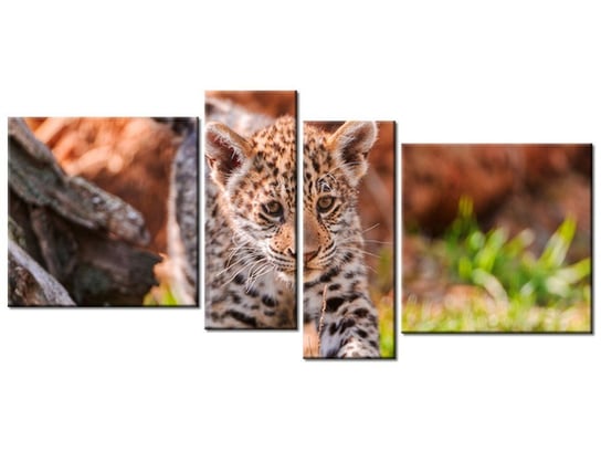 Obraz Mayra - Tambako The Jaguar, 4 elementy, 120x55 cm Oobrazy