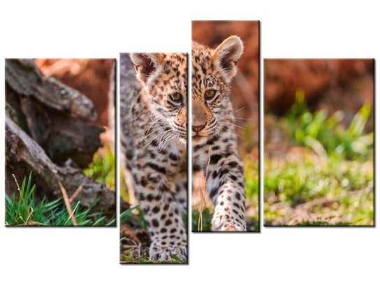 Obraz Mayra - Tambako The Jaguar, 4 elementy, 130x85 cm Oobrazy