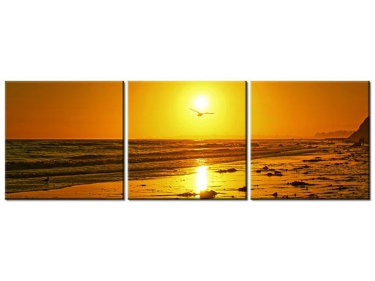 Obraz Mewa w słońcu - Damian Gadal, 3 elementy, 120x40 cm Oobrazy