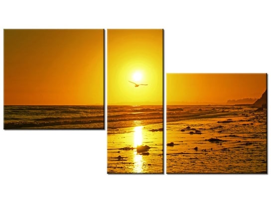 Obraz Mewa w słońcu - Damian Gadal, 3 elementy, 90x50 cm Oobrazy
