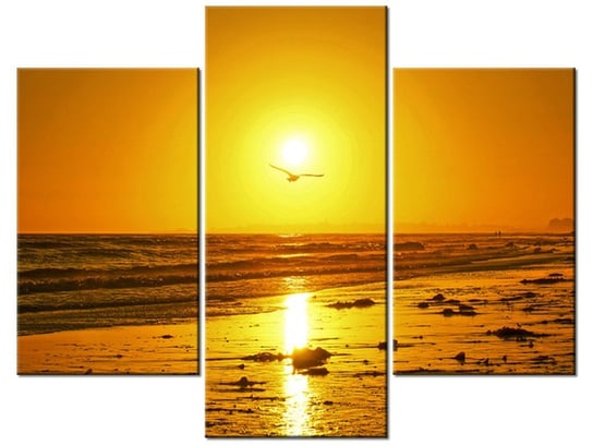 Obraz Mewa w słońcu - Damian Gadal, 3 elementy, 90x70 cm Oobrazy