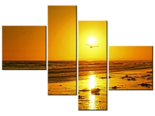 Obraz Mewa w słońcu - Damian Gadal, 4 elementy, 100x70 cm Oobrazy