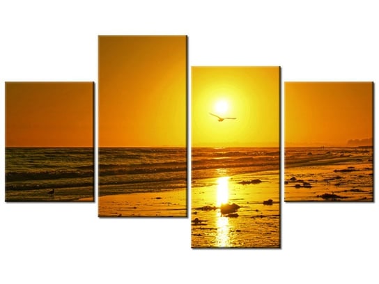 Obraz Mewa w słońcu - Damian Gadal, 4 elementy, 120x70 cm Oobrazy