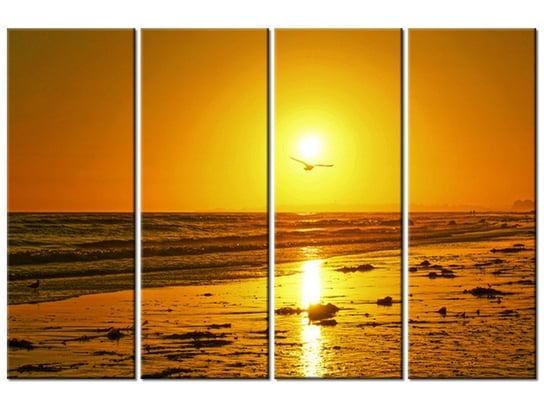 Obraz, Mewa w słońcu - Damian Gadal, 4 elementy, 120x80 cm Oobrazy