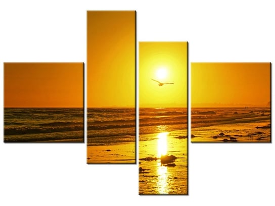 Obraz Mewa w słońcu - Damian Gadal, 4 elementy, 130x90 cm Oobrazy