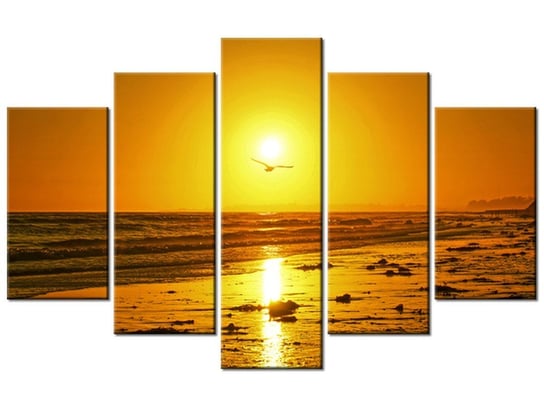 Obraz Mewa w słońcu - Damian Gadal, 5 elementów, 100x63 cm Oobrazy
